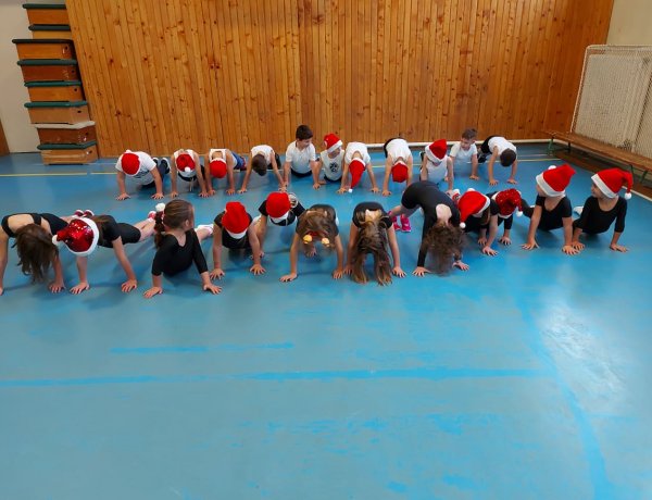 100000 fekvőtámasz a cél - Válogatott sportolók, ismert emberek is csatlakoztak