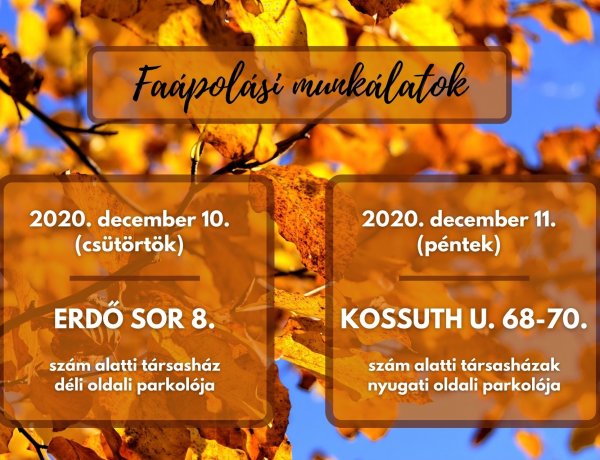 Az alábbi helyszíneken végez faápolási munkálatokat a NYÍRVV csütörtökön és pénteken