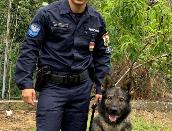 Nico szagot fogott, és a gyanúsított házáig vezette a nyomozókat