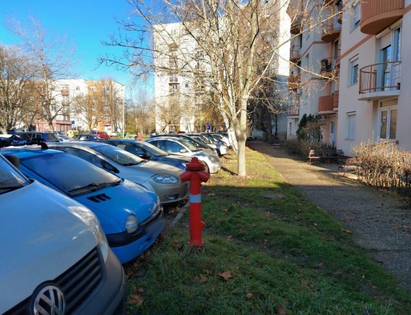 Favágási munkálatokat végeznek a Kossuth utca egy részén, lezárták a parkolókat
