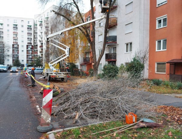 Gallyazási munkálatok kezdődtek az Erdő soron, forgalomkorlátozás mellett