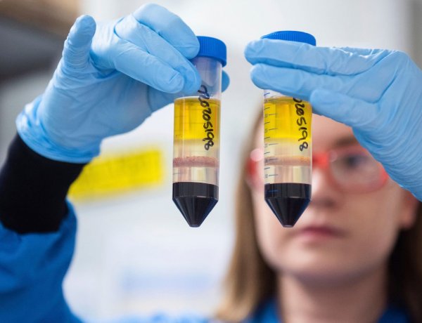 Így lehet még hatékonyabb az orosz és a brit vakcina        