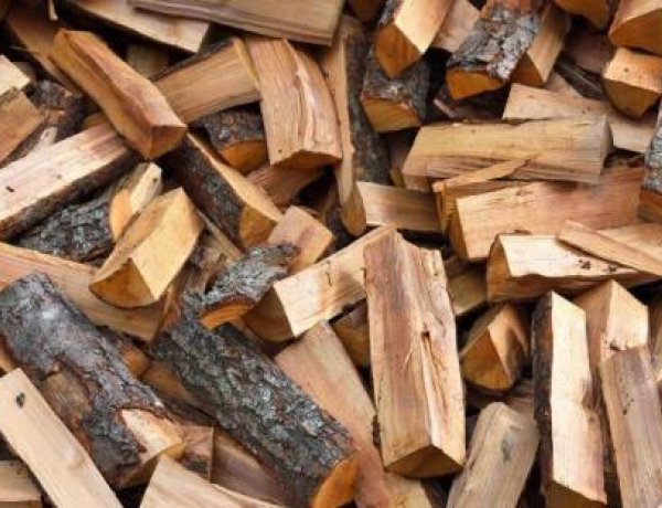 Szociális tűzifa program – Folyamatos a kiosztás a Tüzér utcán