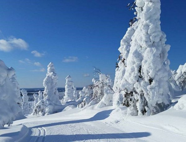 Így ünneplik a karácsonyt Kajaaniban, Nyíregyháza testvérvárosában