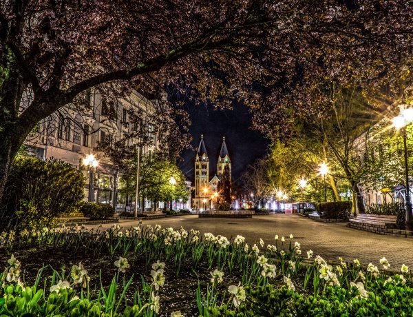 Az Év Turisztikai Városa – Nyíregyháza az élmezőnyben               