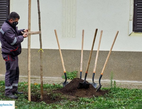 Rendkívüli év volt a 2020-as a NYÍRVV Nonprofit Kft. számára