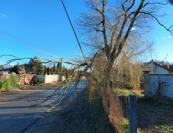 Jelentős károkat okozott a kedd hajnalban érkezett viharos szél Nyíregyháza több pontján