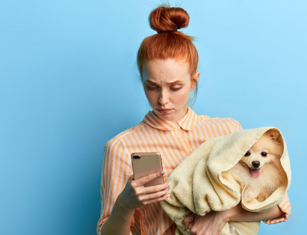 Segítség, elveszett a kutyám! – Így előzhetjük meg, hogy elszökjenek kedvenceink