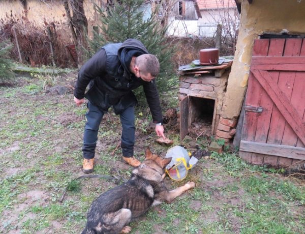 Fiesta kiszagolta a lőszereket – Engedély nélkül tartott lőszereket egy kömörői férfi