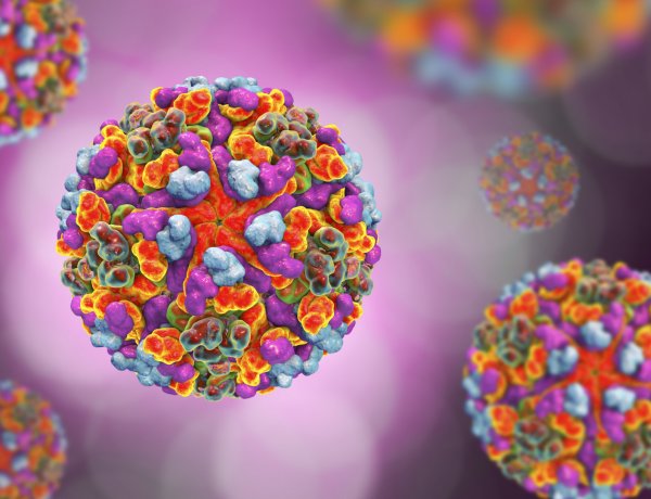 Már a szomszédban, Romániában is megjelent a mutáns vírus   