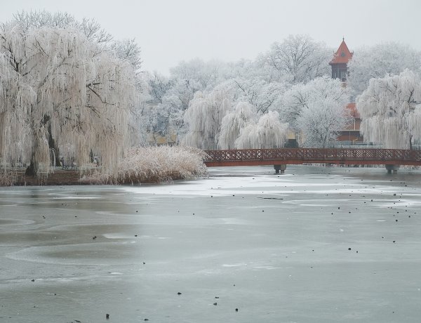 Online előadás a Nyíregyházi Települési Értéktár Bizottság működéséről 