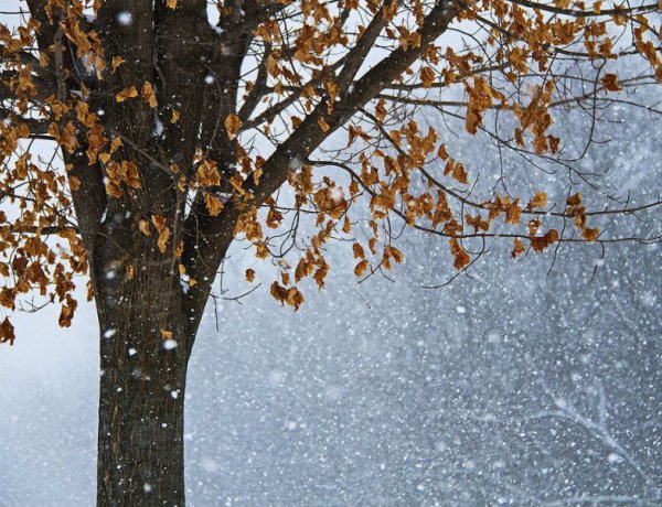 Többfelé lehet gyenge havazás, hószállingózás és -10 fokig is csökkenhet a hőmérséklet