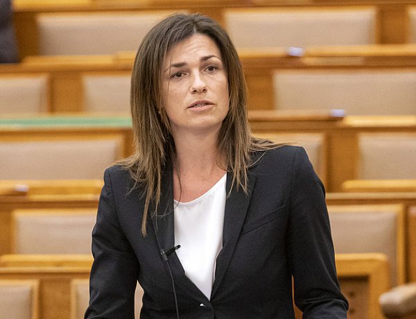 A bántalmazás felismerése a gyerek környezetében élők felelőssége