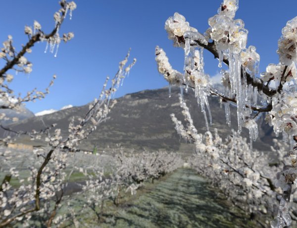 Szibériai fagy hűti mínusz tíz fok alá Magyarországot       