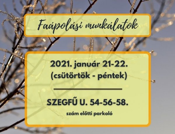 Faápolási munkálatokat végez csütörtökön és pénteken a NYÍRVV a Szegfű utcán