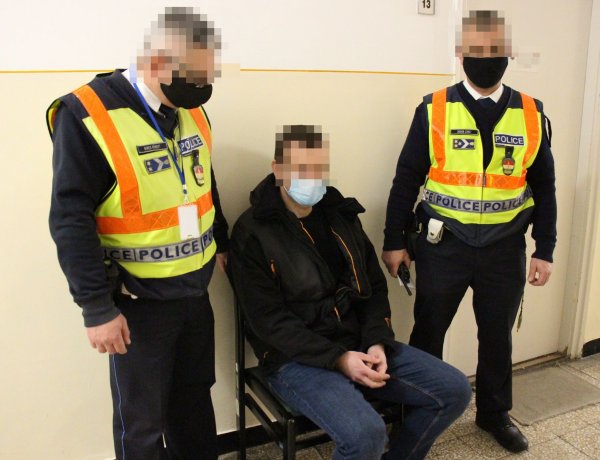 Elfogták a rendőrök a járművezetőt, aki Nyírbátor és Nyírgyulaj között gázolt el egy nőt