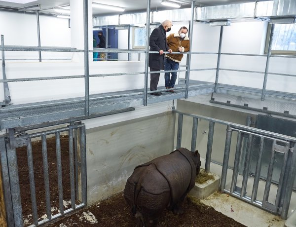 Befejeződött az India-ház kivitelezése a Nyíregyházi Állatparkban