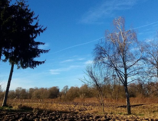 Furcsa átmenet után egy leheletnyi tavasz köszönt ránk           
