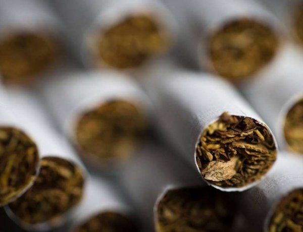 Több mint 1100 doboz cigarettát szagolt ki Becky Záhonynál  