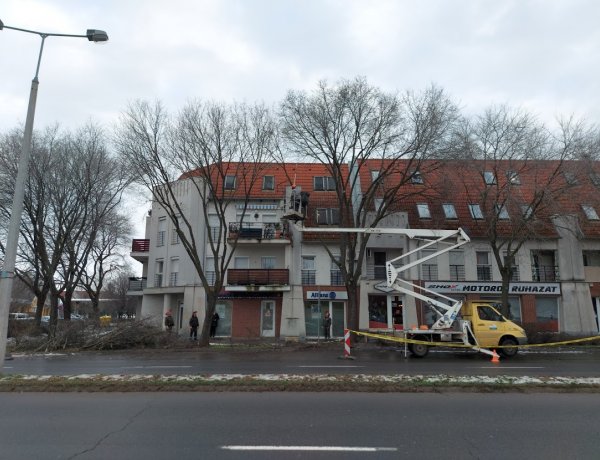 Faápolási munkálatokat végez a NYÍRVV a Szegfű utcán        