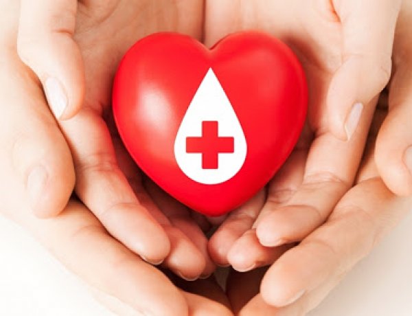 Vöröskeresztes megújulás – Segély és építkezés                