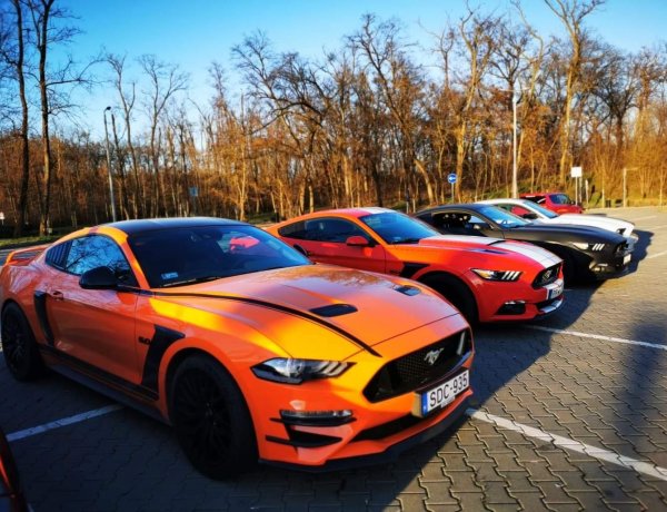 Képeken a nyíregyházi autócsodák! Egy éve alakult a Mustang Klub!