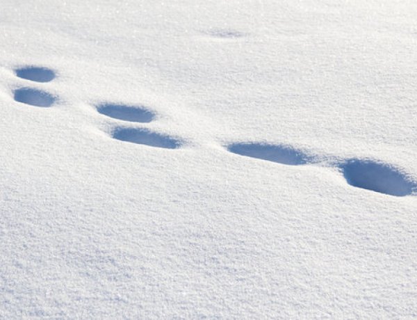 Jobb lesz, ha felkészülünk a hétvégi időjárásra - újabb havazás várható