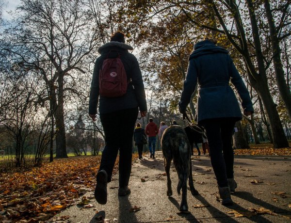 A tavasz és a tél is megmutatja magát hétvégén                      