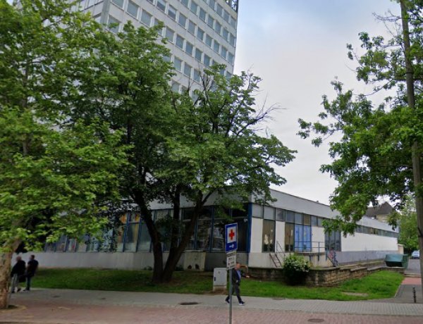 Favágási munkálatokat végez február 5-én a NYÍRVV a Széchenyi utcánál