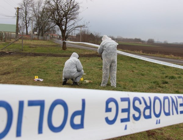 Feladta magát a testvérpár, és beismerték tettüket a szabolcsi nyomozóknak