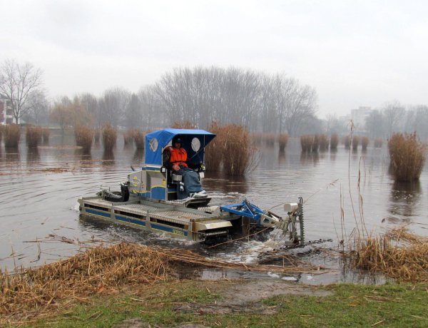 Folytatódik a nádvágás a Bujtosi Városliget területén          