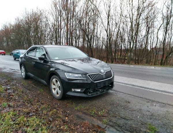 Vadat gázolt egy Nyíregyháza felé haladó személyautó a Tokaji úton