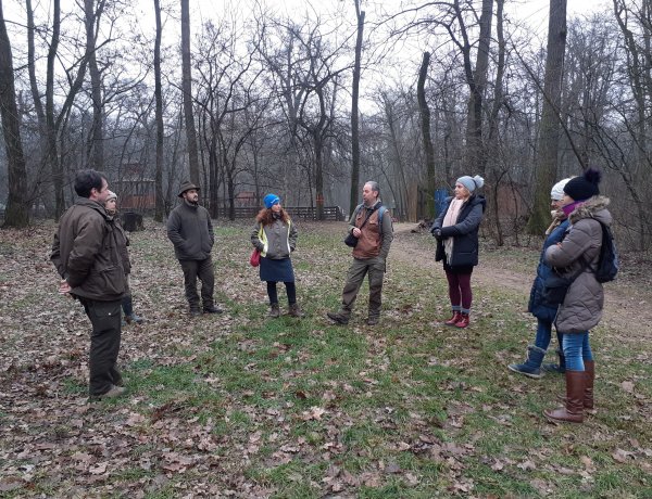„Sóstói-erdő kerekasztal” – Helyszíni bejárás és szakmai konzultáció a Sóstói Parkerdőben