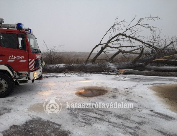 Huszonnyolc viharkárral kapcsolatos jelzés érkezett a megyei katasztrófavédelemhez tegnap