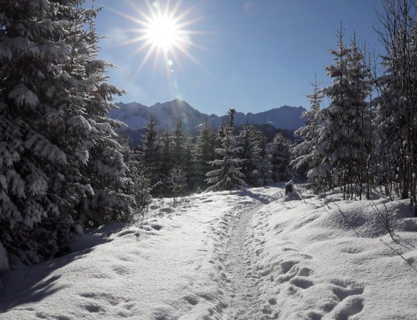 Országos Meteorológiai Szolgálat: fagyos hétvége jön, de sok lesz a napsütés