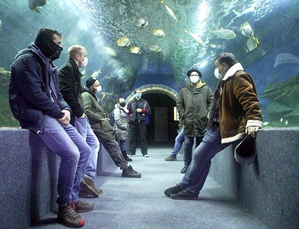 Rejtélyes esetek a Nyíregyházi Állatparkban! - Filmet forgat a Móricz Zsigmond Színház