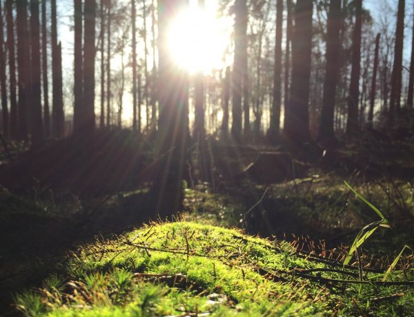 Ragyogó napsütés jön a felhős délelőtt után                 