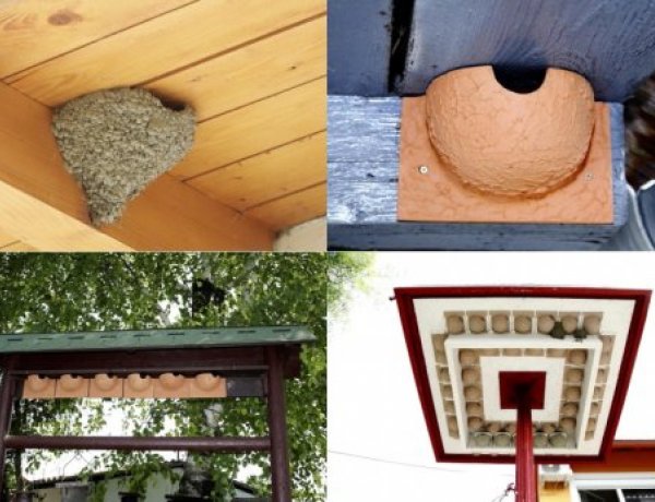 A tavasz kiemelt fecskevédelmi időszak: óriási a szerepünk és felelősségünk