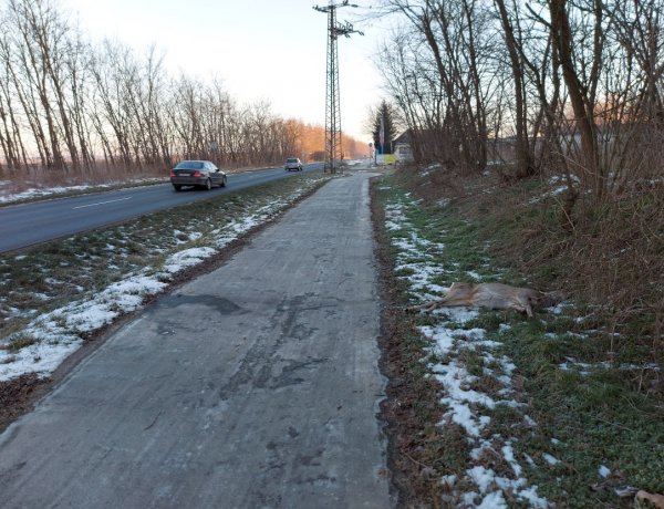 Vadgázolás történt a Westsik Vilmos utcán                         