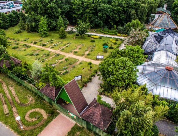 A növényvilág csodái közé kalauzolja az érdeklődőket a könyvtár online előadása