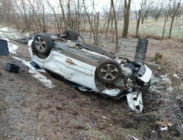 Szarvas rohant egy autó oldalának, a sofőrt kórházba szállították