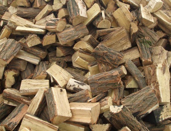 Sikeres volt a Tüzelőanyag Program Északkelet-Magyarországon