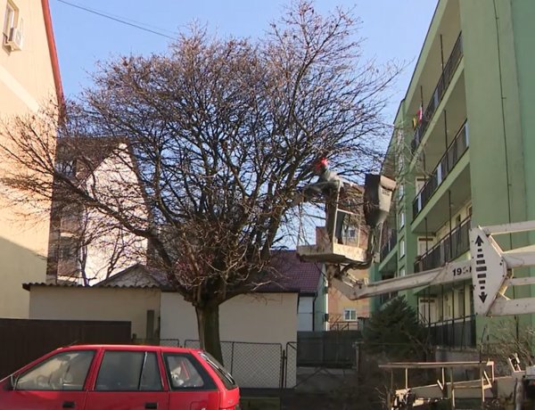 Nagy tavaszi városkarbantartás – Metszés és fakivágás             