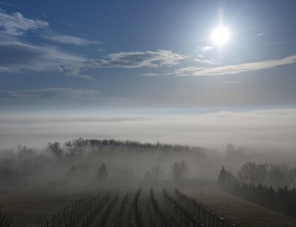 Országos Meteorológiai Szolgálat: ködben ébred az egész ország