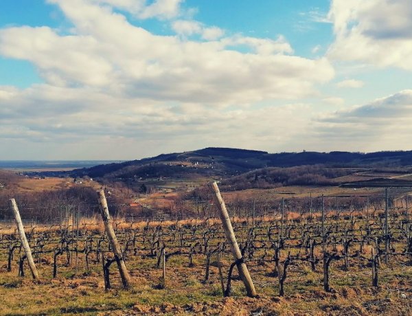 Napsütéssel köszönt ránk a tavasz első napja                        