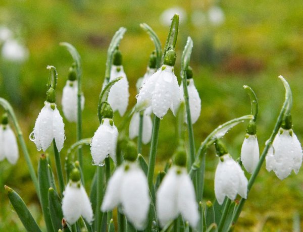 Mínusz 27 fok is előfordult már a tavasz első napján             