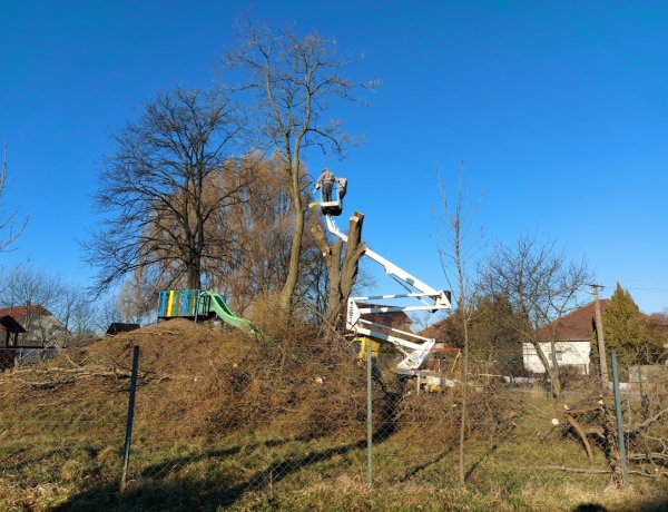 Faápolási munkákat végeztek a NYÍRVV szakemberei hétfőn reggel Borbányán