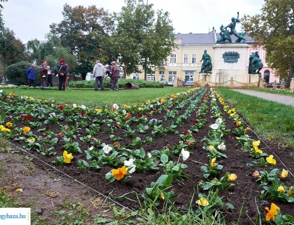 „Gondolkodj virágosan” – Városszépítő pályázat indult a legkisebbeknek 