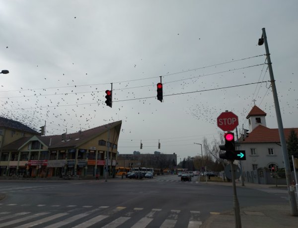 Ismét működik a jelzőlámpa a Vasgyár utcánál                               