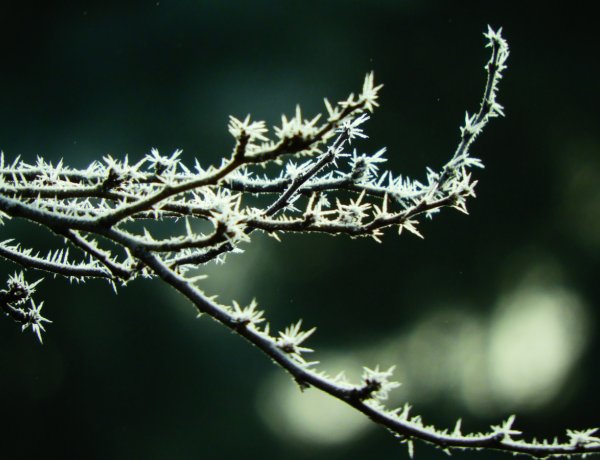 Országos Meteorológiai Szolgálat: visszakacsint a tél            